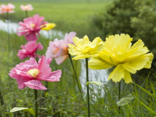 Papierblumen & Sommer Früchte